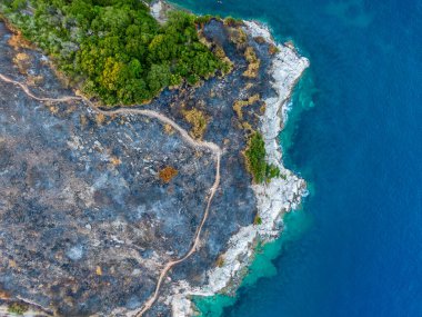 Yanmış yamaçlar, tepeler, erimitis talusu, Korfu Adası, Yunanistan. Yangından sonraki yeni hayat, alevler. İyon Adaları, Yunanistan. Yangın mahalli..