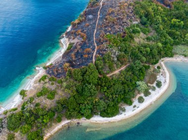 Yanmış yamaçlar, tepeler, erimitis talusu, Korfu Adası, Yunanistan. Yangından sonraki yeni hayat, alevler. İyon Adaları, Yunanistan. Yangın mahalli..