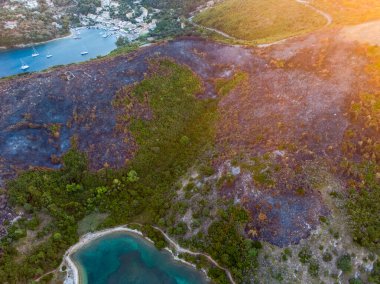 Burned slopes, hills, talus on  erimitis ,Corfu Island ,Greece. The new born life after fire, blaze. Ionian Islands, Greece. Site of the fire. clipart