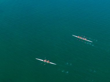 Sakin bir denizde kürek çeken takımların hava görüntüsü