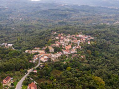 Yeşillik yeşil ormanın ortasına kurulmuş küçük bir köyün havadan görünüşü..