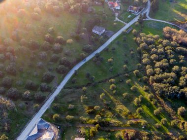 Kırsal bir yolun havadan görünüşü zeytin ağaçlarının ve çiftlik evlerinin arasından süzülüyor güneş ışığıyla yıkanmış..