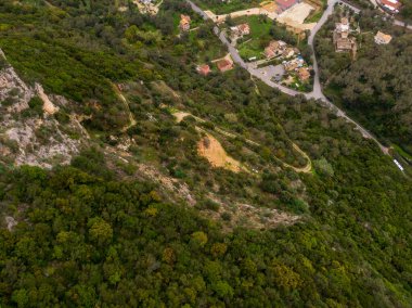 Yamaçtaki yemyeşil orman boyunca dolambaçlı yol manzarası..