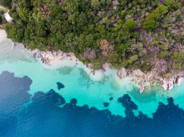 Tenha kıyı cenneti: yemyeşil turkuaz sularla buluşur.