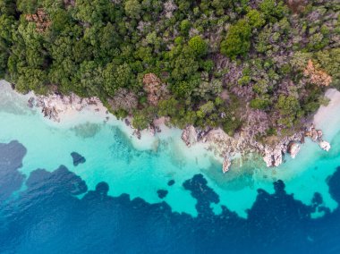 Bereketli yeşil bir adanın turkuaz sularla buluşmasının havadan görüntüsü..