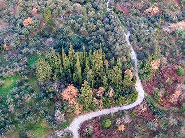 Değişik bir ormanın içinden geçen dolambaçlı toprak bir yolun havadan görünüşü..