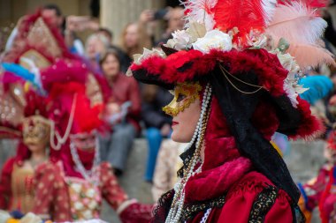 Gösterişli bir kostüm içinde, altın bir maske ve tüylü bir şapkayla süslenmiş bir eğlence düşkünü.