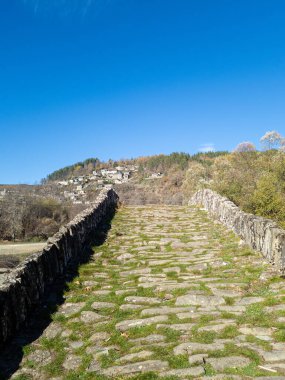 Ormanlarla çevrili tepedeki bir köye, berrak mavi gökyüzünün altında yosunların büyüdüğü taştan bir köprü yolu..