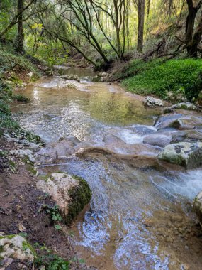 Etrafı yeşilliklerle çevrili kayalık arazide çağlayan küçük bir nehir. Güneş ışığı ağaçların arasından süzülür. Yansımalar ve yosunlu taşlarla nehri aydınlatır..