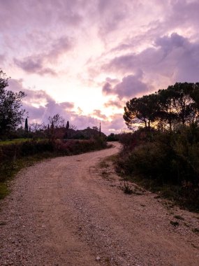 Bir çakıl yolu ufka doğru esiyor, siluetli ağaçlar canlı bir gün batımı çerçevesi oluşturuyor, huzurlu bir şekilde manzaranın üzerine parlıyor..