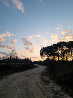 Çakıl yolu, gün batımında siluete bürünmüş ağaçlara doğru uzanır. Pembe renkli bulutlu mavi gökyüzüne karşı..