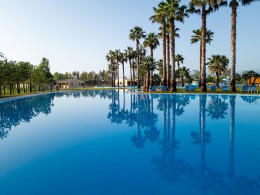 Berrak bir gökyüzünün altında yüksek palmiye ağaçlarını yansıtan sakin bir yüzme havuzu. Açık havada huzurlu bir tatil ortamı yaratıyor..