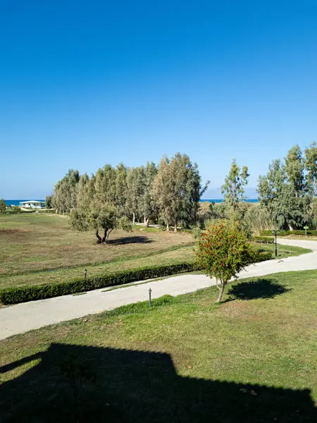 Geniş yeşil tarlaların yer aldığı sakin bir manzara berrak mavi gökyüzünün altında ağaçlarla süslenmiş, uzak bir sahil binası görülebilir..