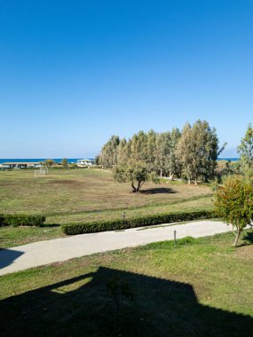 Yeşil bir tarlanın huzurlu bir manzarası. Ağaçlar mesafeyi kaplıyor, berrak bir gökyüzünün altında sakin bir sahile ve okyanusa açılıyor.. 