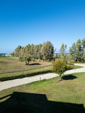 Geniş yeşil tarlaların yer aldığı sakin bir manzara berrak mavi gökyüzünün altında ağaçlarla süslenmiş, uzak bir sahil binası görülebilir..
