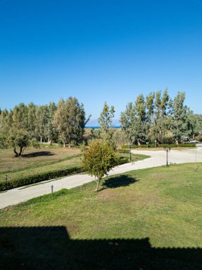 Güzel bir çekim manikürlü çimler, dolambaçlı bir yol, çeşitli yemyeşil ağaçlar ve açık mavi gökyüzü ile sakin bir tatil yeri sahnesi yakalamak.