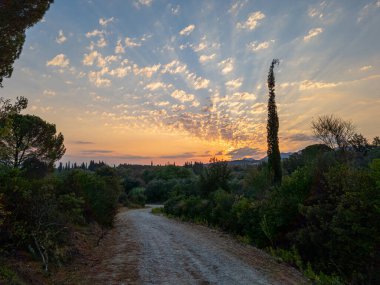 Sakin bir toprak yol güneşin doğuşunda sakin bir arazide esiyor, altın saatin sıcacık parıltısıyla yıkanıyor..