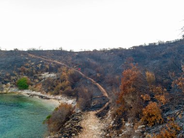 Bir yürüyüşçü deniz kenarında bir yolda yürüyor; manzara yakın zamanda çıkan bir yangından kaynaklanan yanık hasarını gösteriyor, kömürleşmiş kalıntıların arasında yeşil izler ortaya çıkıyor..