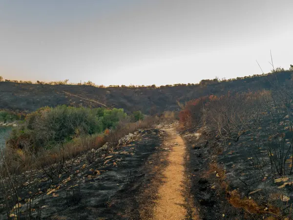 Ateşten yara almış toprak bir arazide rüzgarlar esiyor, yeşil cepleri ve açık gökyüzü ile zıt düşen siyah kalıntılar..