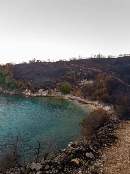 Manzaralı bir manzara, turkuaz suyun, üzerinde tek başına yürüyen bir figürle kavrulmuş bir yamaçla çevrili küçük bir kumsalla buluştuğunu gösteriyor..