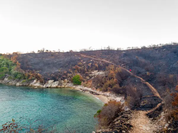 Sahne yakın zamanda çıkan bir yangınla yaralanmış bir yamacı gösteriyor. Turkuaz su kömürleşmiş manzaraya zıt düşüyor ve tek başına yürüyen bir figür..