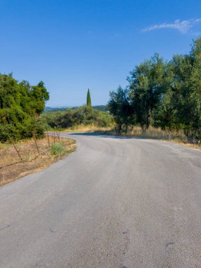 Kıvrımlı bir yol, güneşli bir günde canlı, yeşil bir araziden geçer. Açık mavi gökyüzü huzurlu kırsal ortama ekleniyor.