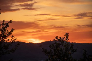 Gün batımının dramatik arkaplanı, ön planda siluetli ağaç dalları ateşli renklerle dolu bir gökyüzüne karşı. Uzaktaki dağ manzarası.