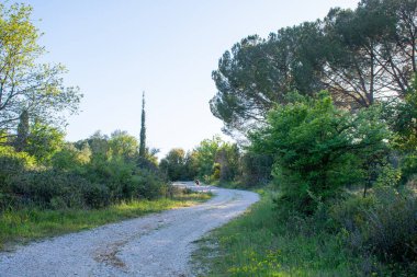 Dolambaçlı toprak bir yol, ağaçlar ve bitkiler tarafından çerçevelenmiş yeşil bir araziye götürür, parlak bir gökyüzünün altında, sükunet ve doğa çağrıştırır..
