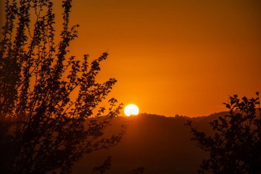 Ön planda ağaçların silueti, arka planda görünen tepeler ve gökyüzünde sıcak bir ışık olan resim gibi bir gün batımı..