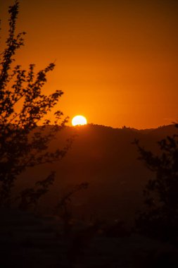 Işıl ışıl bir günbatımı, güneş karanlık tepelerin ve siluetli yaprakların ardında batarken manzarayı yıkıyor. Sıcaklık ve sükuneti çağrıştırıyor..