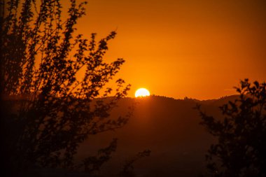 Sıcak turuncu güneş ışığı siluet ağaçlarının ve uzak tepelerin manzarasını yıkıyor. Ayarlar huzur ve sükuneti çağrıştırıyor..