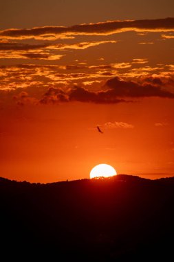 Tepe üzerinde canlı turuncu bir gün batımı, siluetli bir ufuk, desenli bulutlar ve renkli gökyüzünde süzülen bir kuş.