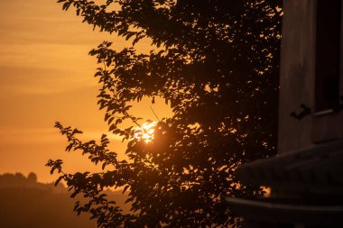 Bir ağacın silueti, bir binanın yakınındaki parlak bir günbatımıyla aydınlatılır. Gökyüzü altın gibi. Sıcak, huzurlu, huzurlu bir ortam.. 