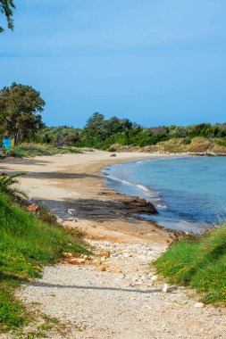 Berrak mavi bir gökyüzü altında yeşil yaprakların sardığı kumlu kıyıya uzanan sakin turkuaz suların olduğu sakin, gizli bir sahil..