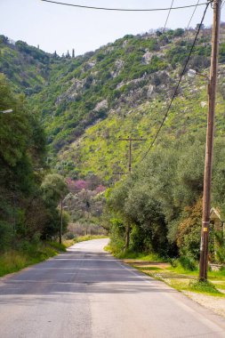 Ağaçlarla kaplı bir yol uzanır ve bir yamaca uzanır bitki örtüsü ve dağınık kayalarla kaplı..