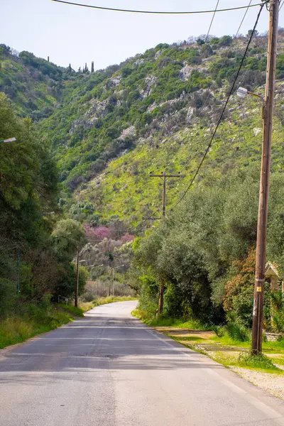 Ağaçlarla kaplı bir yol uzanır ve bir yamaca uzanır bitki örtüsü ve dağınık kayalarla kaplı..