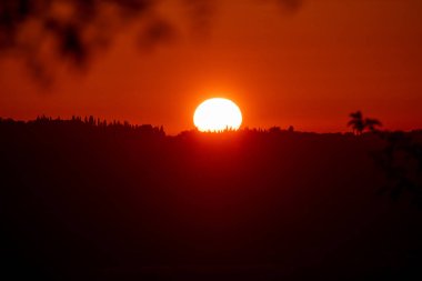 Canlı bir günbatımı, karada turuncu bir parıltı bırakır, ağaçları siluete düşürür ve barışçıl, doğal bir arka plan sahnesi yaratır..