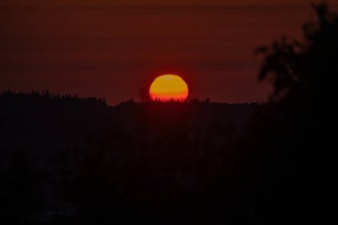 Siluetli ağaç çizgisi, güneş ufkun altına batarken parlak günbatımını vurguluyor, manzarada karanlık gölgeler bırakıyor..