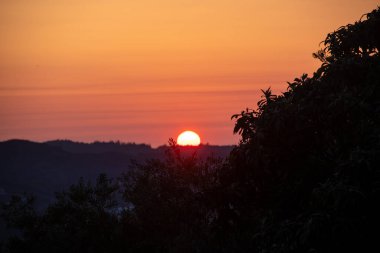 Parlak bir günbatımı, güneş uzak tepelerin ardında batarken ön plandaki ağaçların gölgesinde yanan renklerle gökyüzünü boyar..