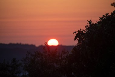 Güzel bir günbatımı, ufku sıcak portakallar ve kırmızılarla renklendirir. Silüet ağaçlar sahne çerçevesi, manzaraya derinlik ekler.