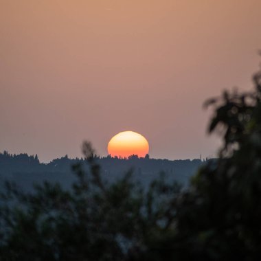 Orman ufkunun üzerinde batmakta olan altın bir güneşe sahip büyüleyici bir günbatımı; ön plan yaprakları derinlik sağlar. Gökyüzü yumuşak tonlar sergiler.