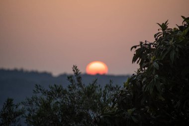 Sakin bir sahne, güneşin uzak, bulanık tepelerde batışını yakalar. Ön plandaki yapraklar derinlik katıyor. Gökyüzü yumuşak bir portakaldır.