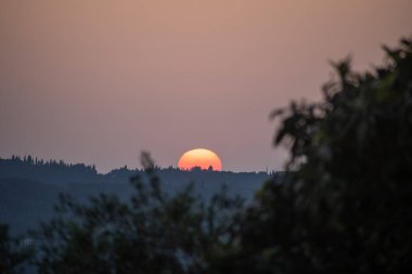 Bu gün batımının ağaçların üzerinden manzaralı bir görüntüsü. Siluetli ön planda bitki örtüsü var. Gökyüzü soluk renklerdir. 