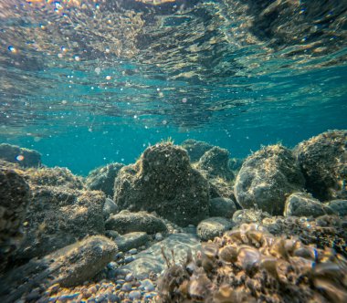 Bir su altı perspektifinde kaya ve çakıl taşları, berrak turkuaz suya batırılmış, güneş ışığı kabarcıklar oluşturarak delip geçiyor.. 
