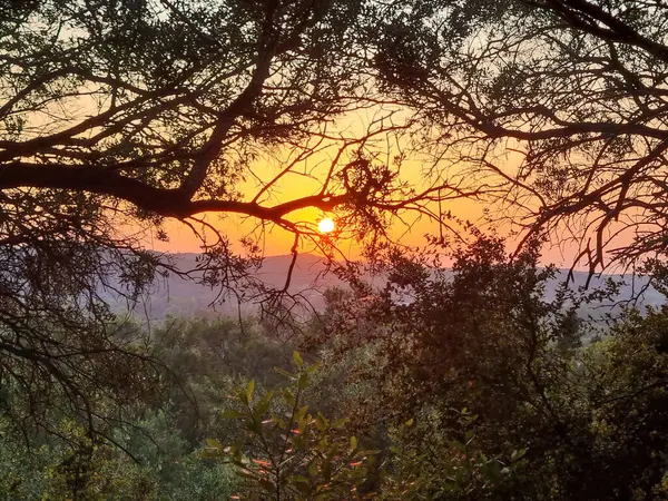 Gün batımında çekilen resimde güneş dalların arasından geçiyor gölgeler yaratıyor, sakin ve manzaralı bir atmosfer sergiliyor..