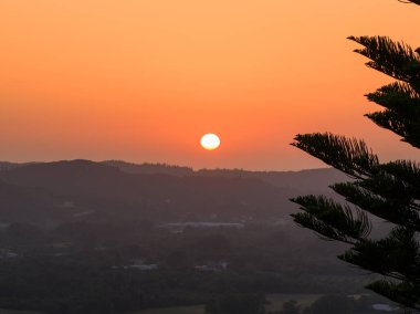 Manzaralı bir manzara güneşin batışını yakalar, yuvarlanan tepelerin üzerine sıcak bir ışık saçar, bir çam ağacı da doğal bir çerçeve ekler..