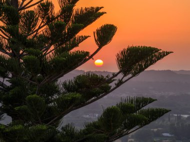 Bir ağaç, dağ manzaralı bir günbatımını çerçeveler. Güneş batarken gökyüzü parlıyor, sakin ve resimsel bir manzara yaratıyor..