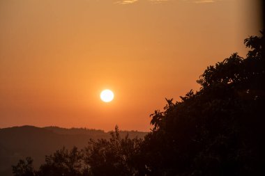 Uzak tepelerin üzerinde altın gün batımı ön planda siluetli ağaçlarla. Gökyüzü turuncu, sıcaklık ve sükunet hissi uyandırıyor..