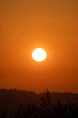 Sıcak renkli gökyüzünde parlak bir güneş batıyor ve ön planda siluetli bir orman var. Günün sonu geldi çattı..