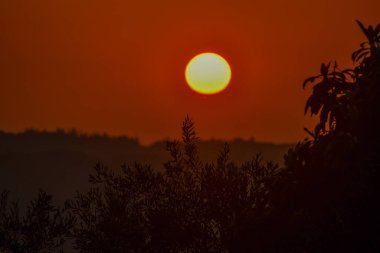 Canlı bir gündoğumu ya da gün batımı gökyüzünde turuncu bir renk bırakır. Siluet ağaçlar ve uzak tepeler canlı, ılık bir zemin üzerine çöker..